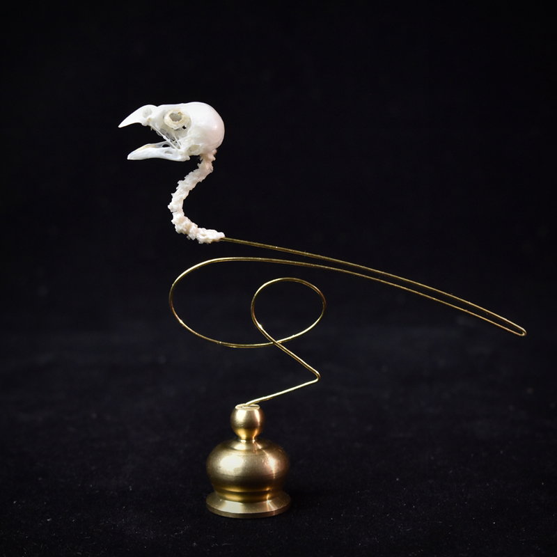2111 Boutique Ethical Bird Sku – Art Craft Museum recenzja i cena