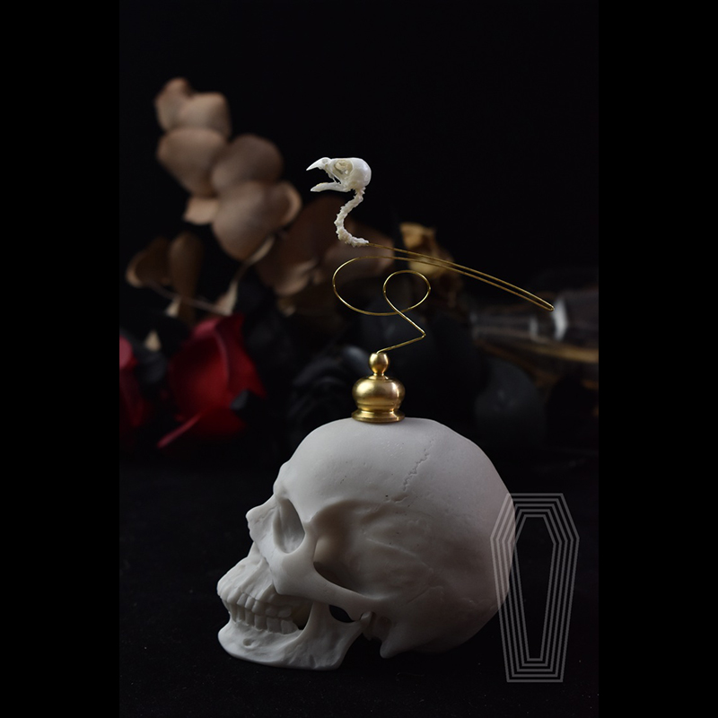 2111 Boutique Ethical Bird Sku – Art Craft Museum recenzja i cena