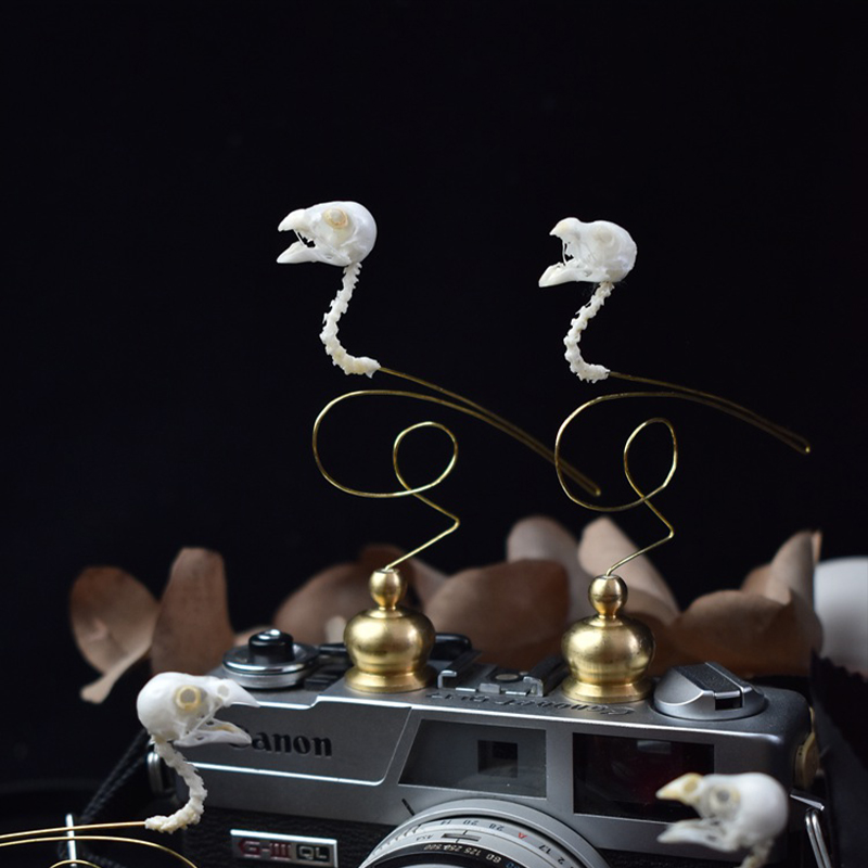 2111 Boutique Ethical Bird Sku – Art Craft Museum recenzja i cena