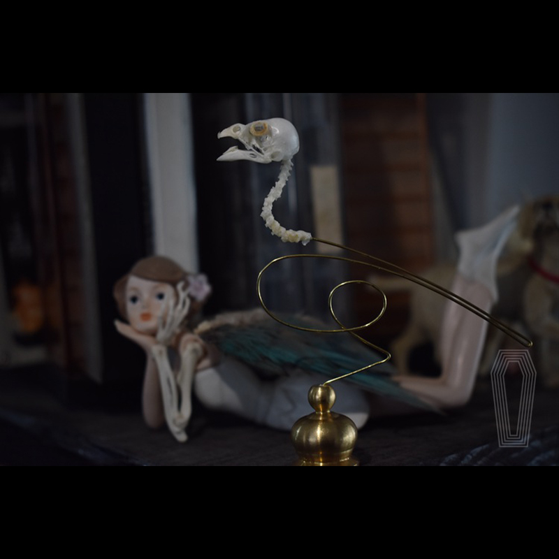 2111 Boutique Ethical Bird Sku – Art Craft Museum recenzja i cena