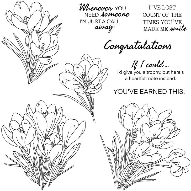 Zephyranthes Candida Cutting D – Rubber Stamp Blank recenzja i cena