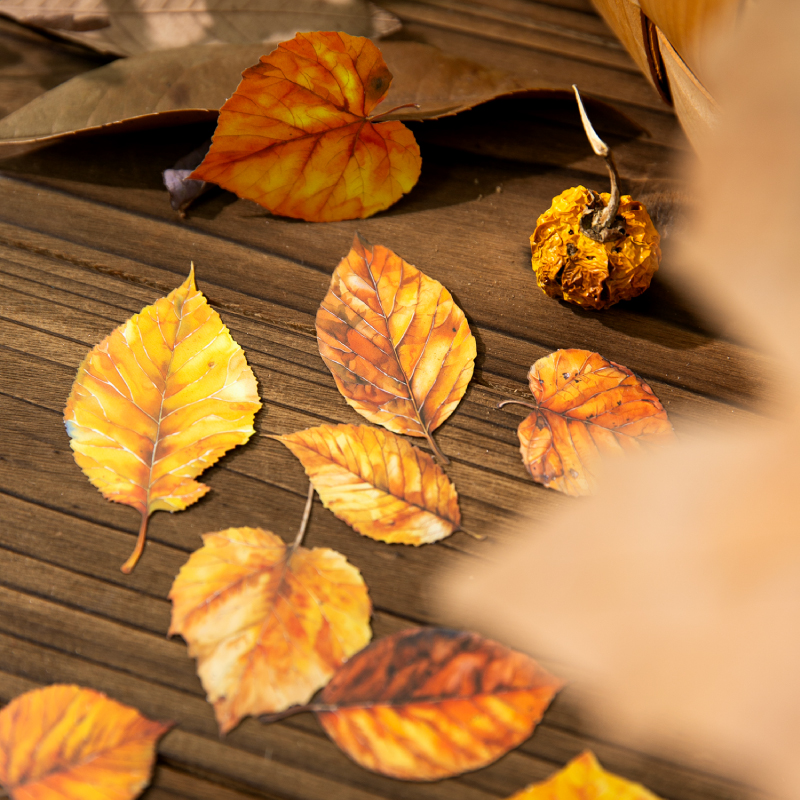 Journal GO 20pcs Golden Autumn – Art And Craft Autumn recenzja i cena