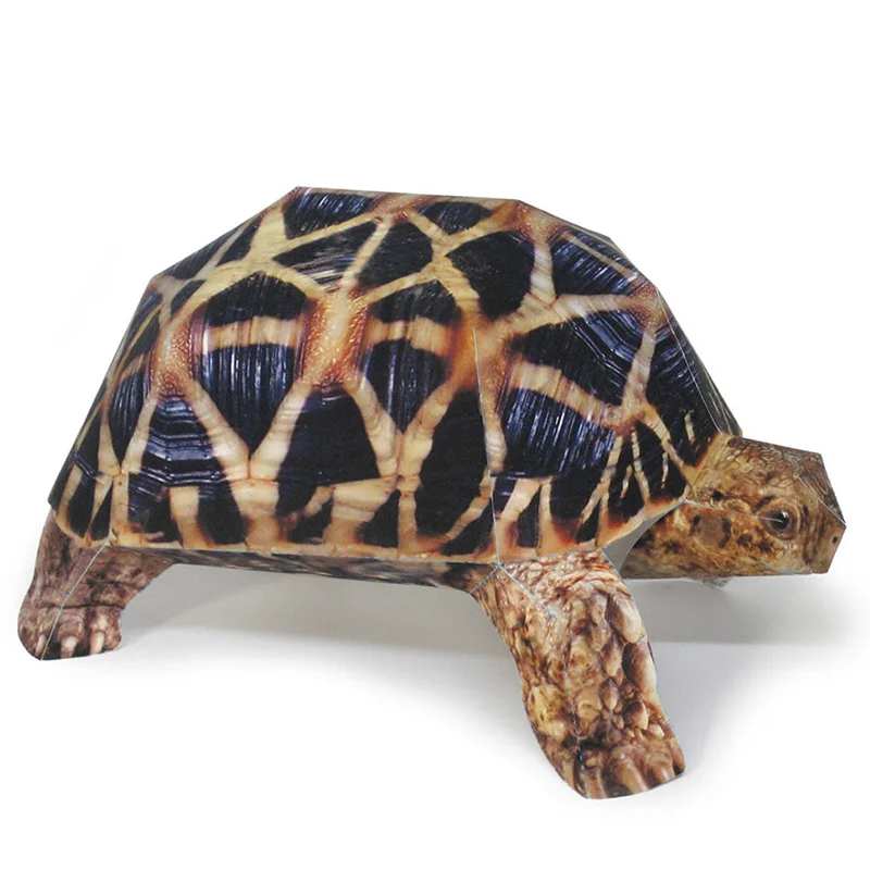 Indian Star Tortoise Paper Mod – Art Craft With Cardboard recenzja i cena