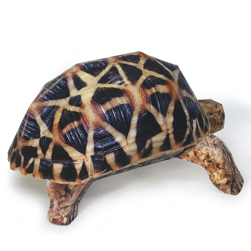 Indian Star Tortoise Paper Mod – Art Craft With Cardboard recenzja i cena