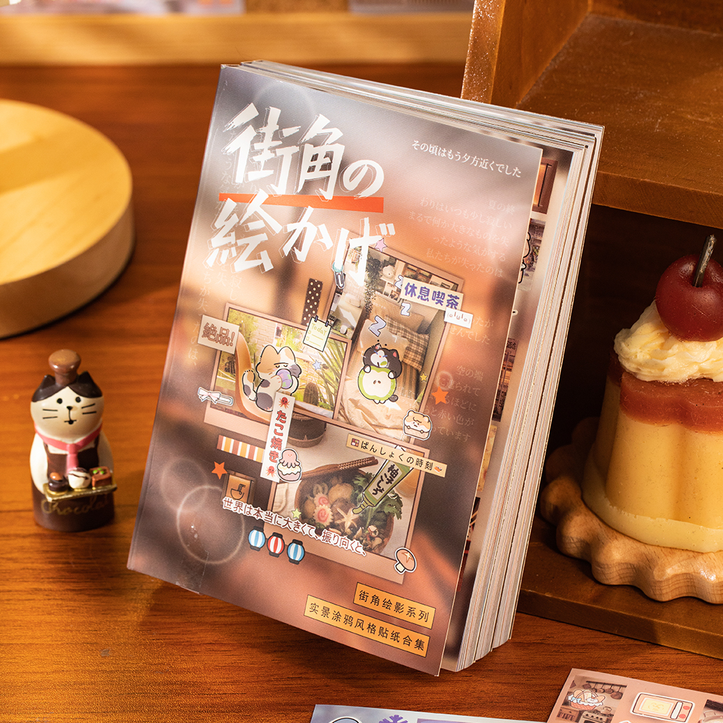 30sheets/book Street View Phot – Art Craft Book recenzja i cena