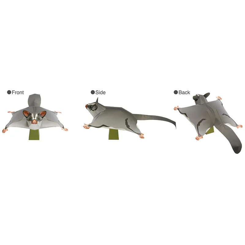 Sugar Glider Flying Mouse Hand – Art Craft With Cardboard recenzja i cena