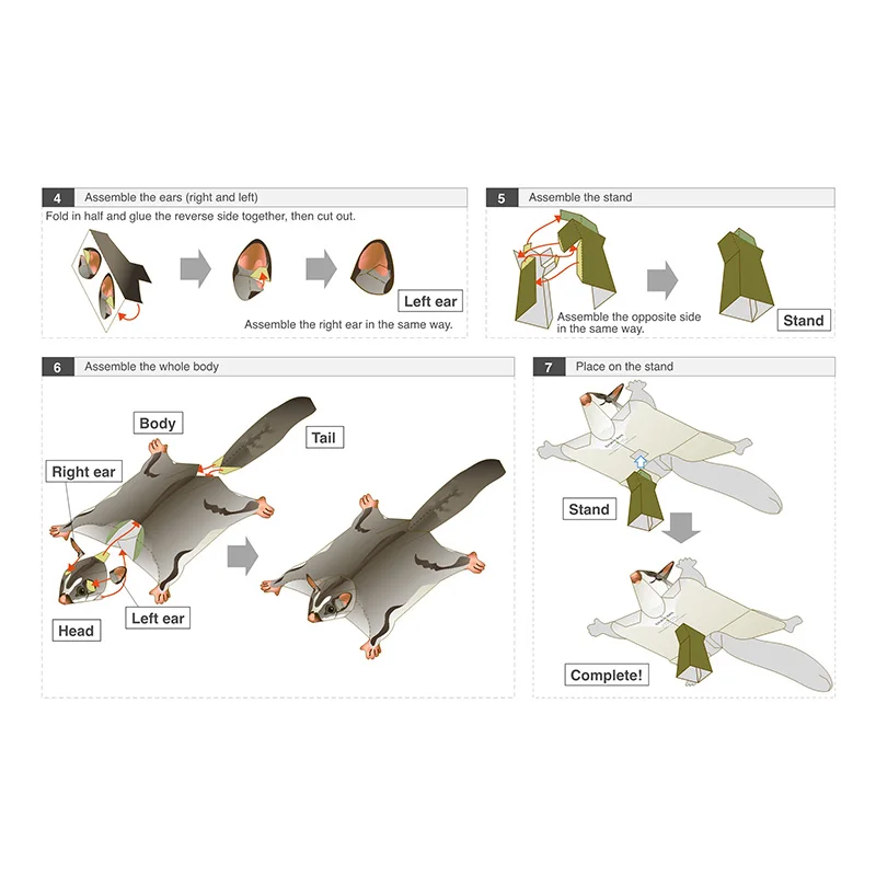 Sugar Glider Flying Mouse Hand – Art Craft With Cardboard recenzja i cena