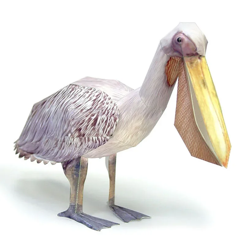 Great White Pelican Bird Paper – Art Craft With Cardboard recenzja i cena