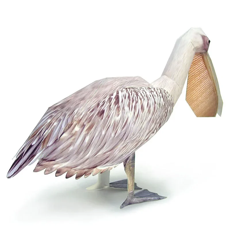 Great White Pelican Bird Paper – Art Craft With Cardboard recenzja i cena